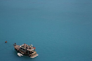 Microorganismos tiñen de turquesa las aguas de Estambul