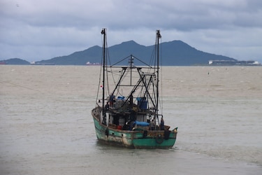 Comenzó la veda del camarón en Panamá: regirá hasta el 11 de abril