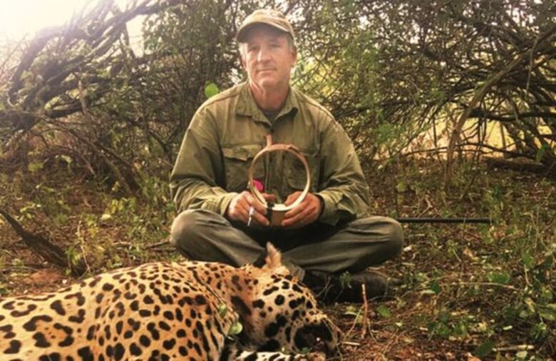Una forma de estudiar a los jaguares