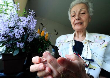 Un hospital para colibríes