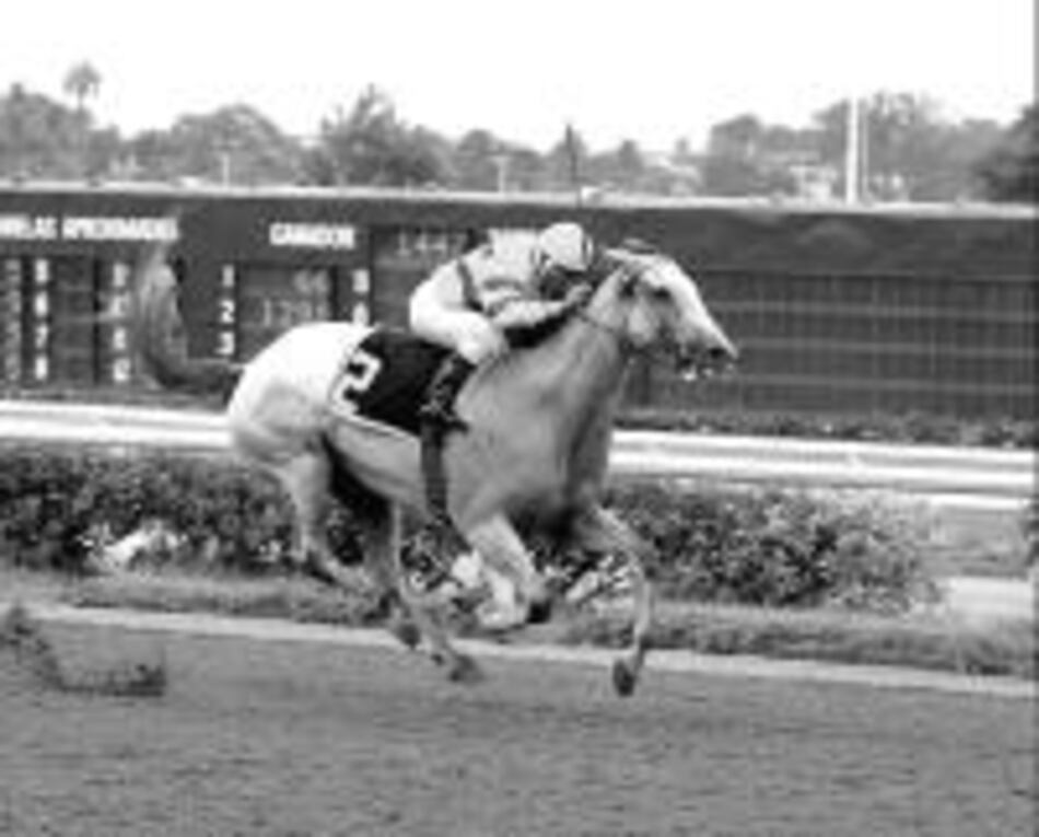 'Alexia' dominó ayer en la pista y va al clásico Centenario