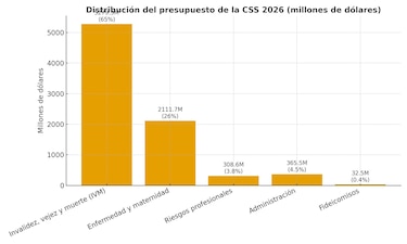 La CSS concentrará el 23% del gasto público en 2026: ‘Si a la Caja le da resfriado, al país le da catarro’
