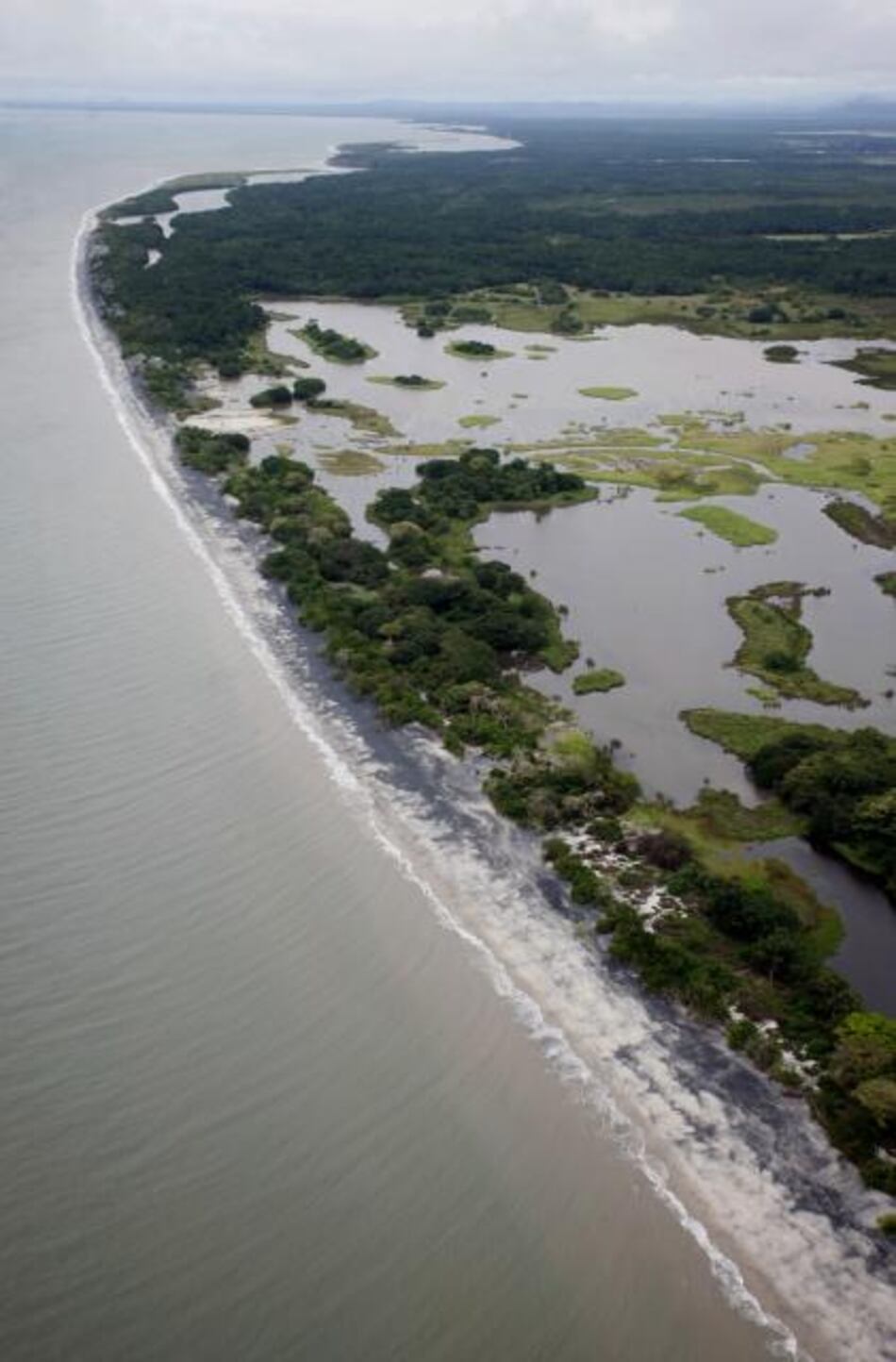Precandidato Navarro convertirá a Juan Hombrón en una reserva natural