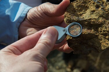 Jóvenes participan en rescate de fósiles en el Canal de Panamá