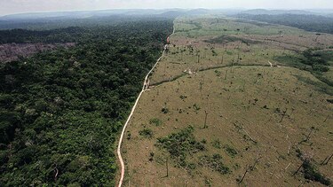 Temer veta leyes que afectaban el Amazonas