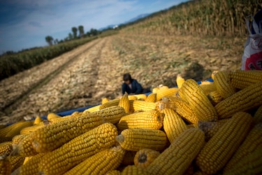 Ulpiano y el grito desesperado de los productores