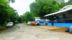 Las Lomas y los años mágicos