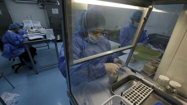 Hoy analizarán el listado de aspirantes a la dirección de la Caja de Seguro Social