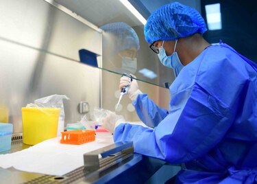 ¿Qué saben hasta ahora los científicos del  langya henipavirus identificado en China?