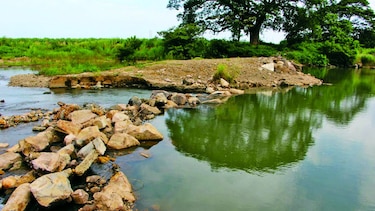 Disminuyen caudales de ríos Chico y Zaratí