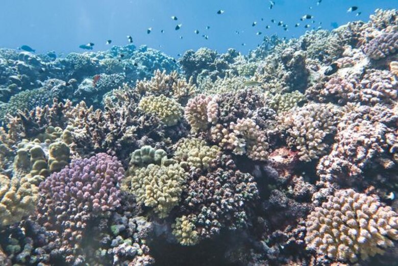 Los efectos de los cambios