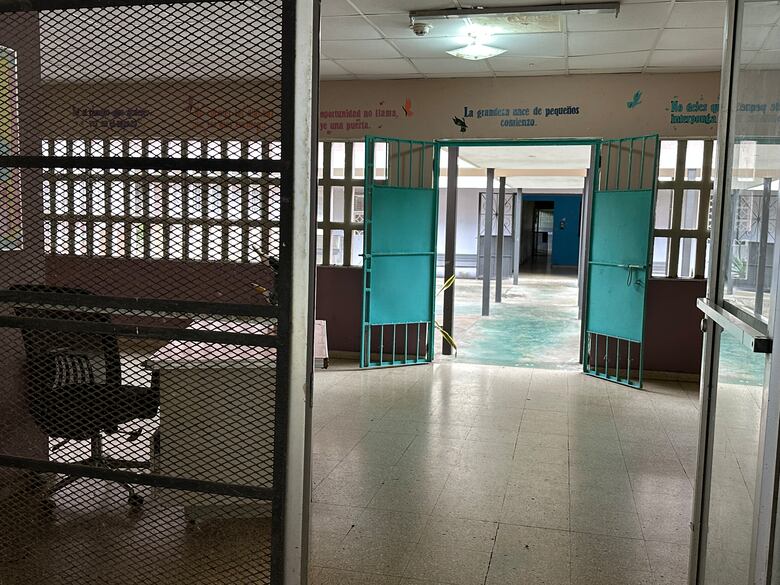 Del dolor al vuelo: la graduación de las mariposas