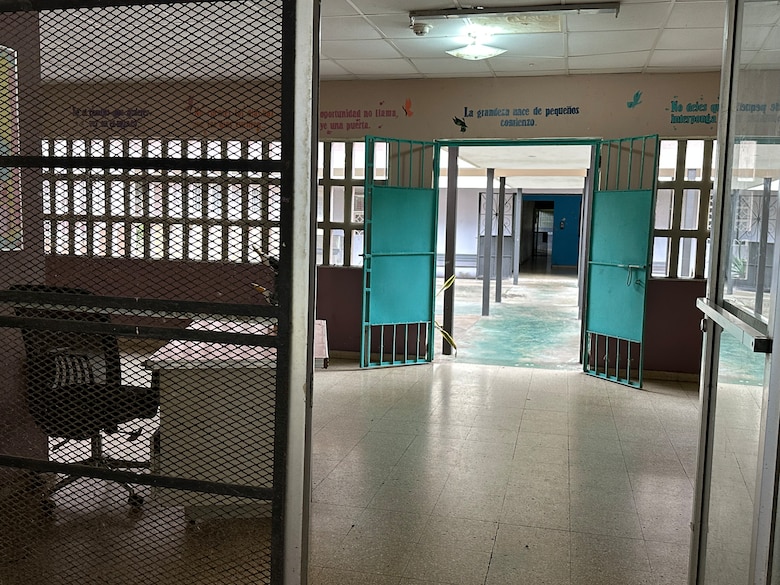 Del dolor al vuelo: la graduación de las mariposas