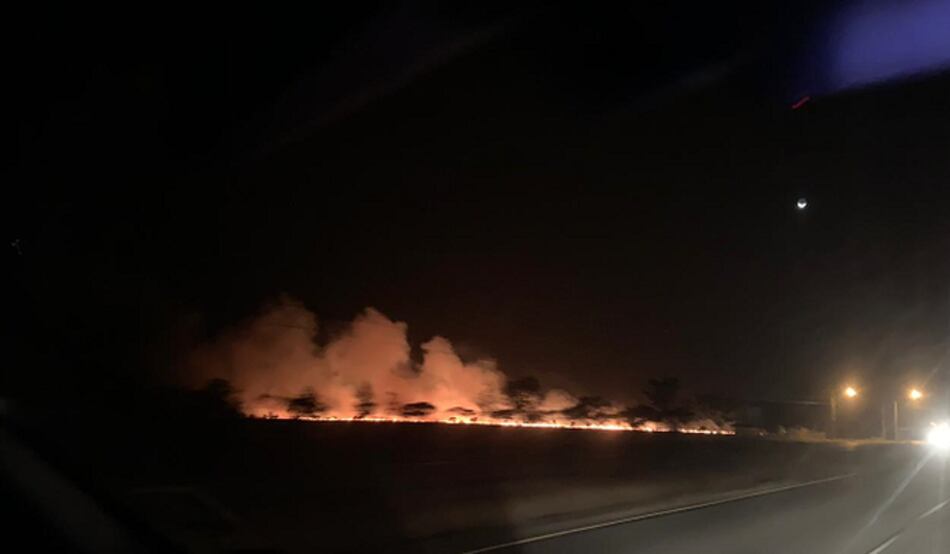 Incendios forestales afectan fincas en la provincia de Coclé