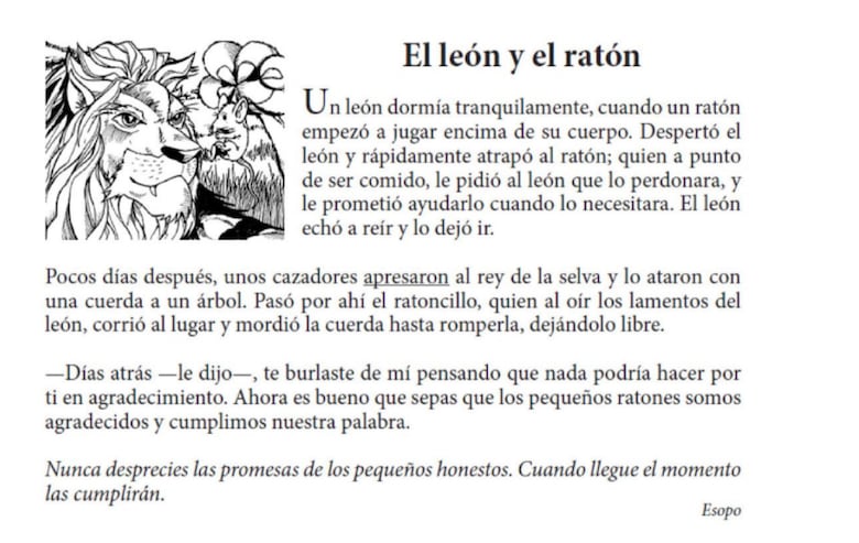 Comparación de pruebas PISA y ERCE: descubre sus preguntas clave