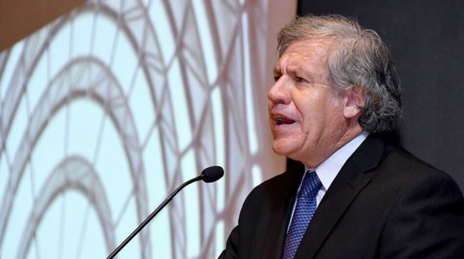 Luis Almagro amplía equipo para analizar derechos humanos en Venezuela