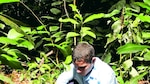 Plantar para la eternidad