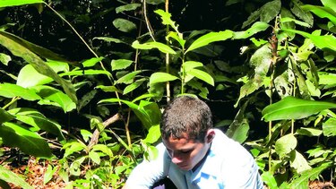 Plantar para la eternidad