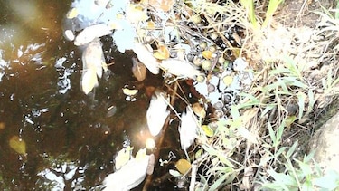 Suspenden servicio de agua en Isla Colón por posible contaminación