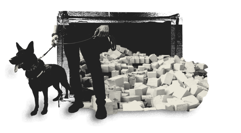 El gran salto a Europa: así es por dentro la nueva cooperación global entre narcos