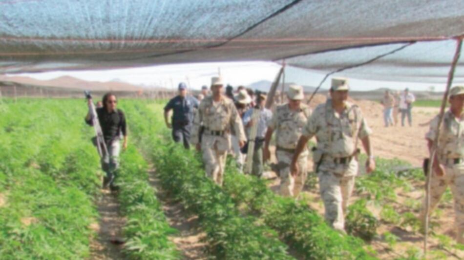 Fecha límite en la guerra del tomate entre México y EU