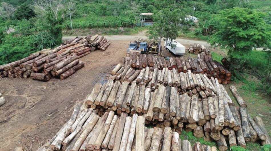 Exigen mayor vigilancia en las selvas de la provincia de Darién