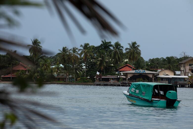 Fiscalía de homicidio de Bocas del Toro investiga el crimen de una mujer vasca en isla Carenero