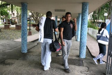 Tres rottweiler custodiarán campus de la UP dentro de dos meses