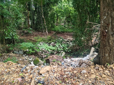 Alerta en Isla Contadora: Miambiente sanciona obras y detecta manejo irregular de residuos