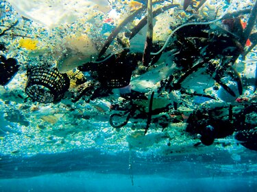 Plástico flotante y su impacto en el ambiente y la comida