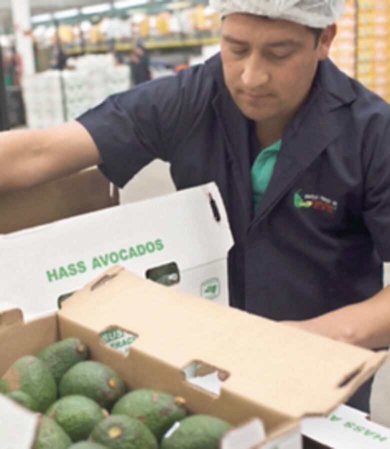 Alianza del Pacífico pide protección al ambiente