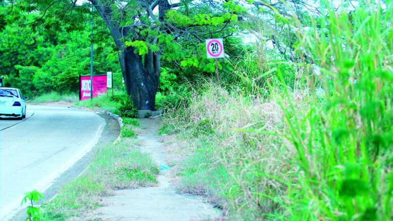 La desaliñada calzada de Amador