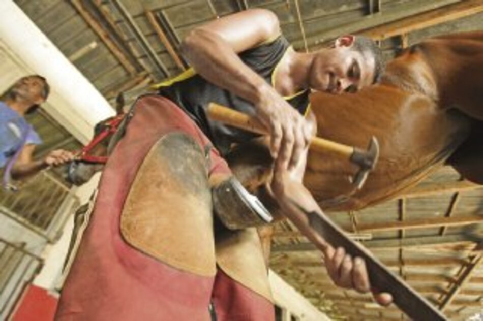 Secretos de un herrador