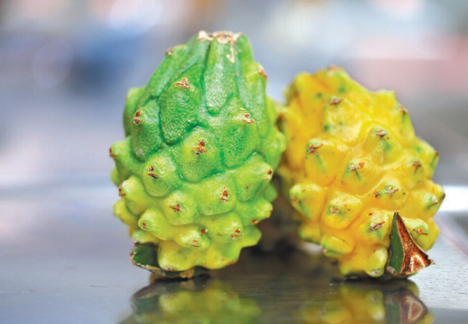 Pitahaya, una fruta para mercados sofisticados