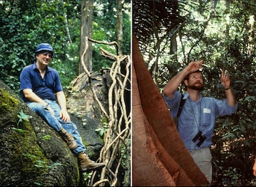 Los bosques tropicales también se miden desde el espacio