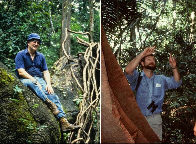 Los bosques tropicales también se miden desde el espacio