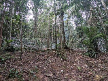 Cercas de alambre y patrullaje: Panamá refuerza restricciones en el Darién para reducir el flujo migratorio