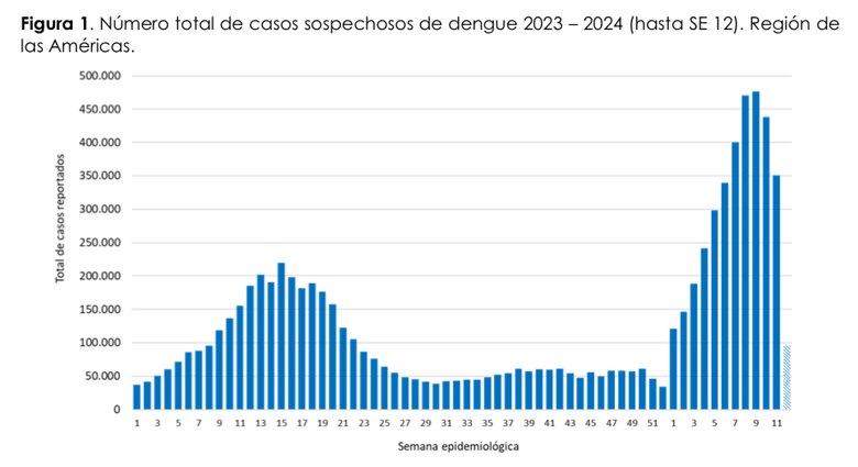 El dengue está al acecho en Panamá: 3 mil 215 casos en 12 semanas epidemiológicas