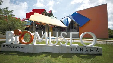 Museos, un complemento necesario en la educación