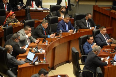 El pleno de la Asamblea arrancó motores con el reto de conformar las comisiones permanentes