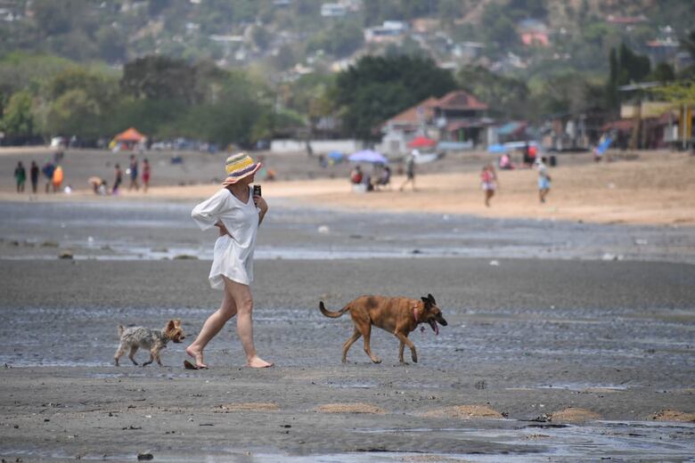 Tres muertos, 219 accidentes y 127,558 vehículos se trasladan al interior hasta este domingo de Carnaval