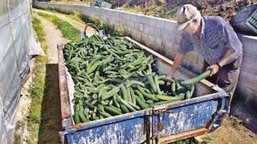 Alimentos que cobran vidas