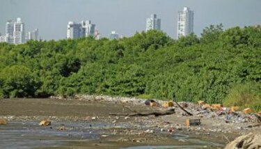 Ambiente, comercio y participación