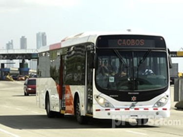Posada: Hay que hacer ajustes en el sistema del Metro Bus