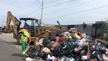 Director de la AAUD avala propuesta para que el Municipio de Panamá recoja la basura