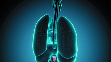Prevención del cáncer de colon