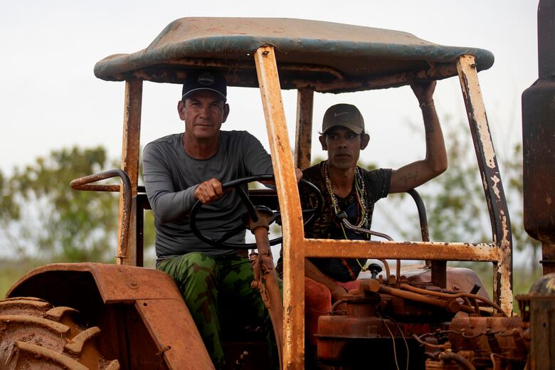 El campo cubano, tras el paso del huracán Rafael: ‘Lo perdimos todo, prácticamente’