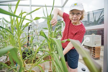Los pueblos indígenas eran guardianes de la Amazonía occidental