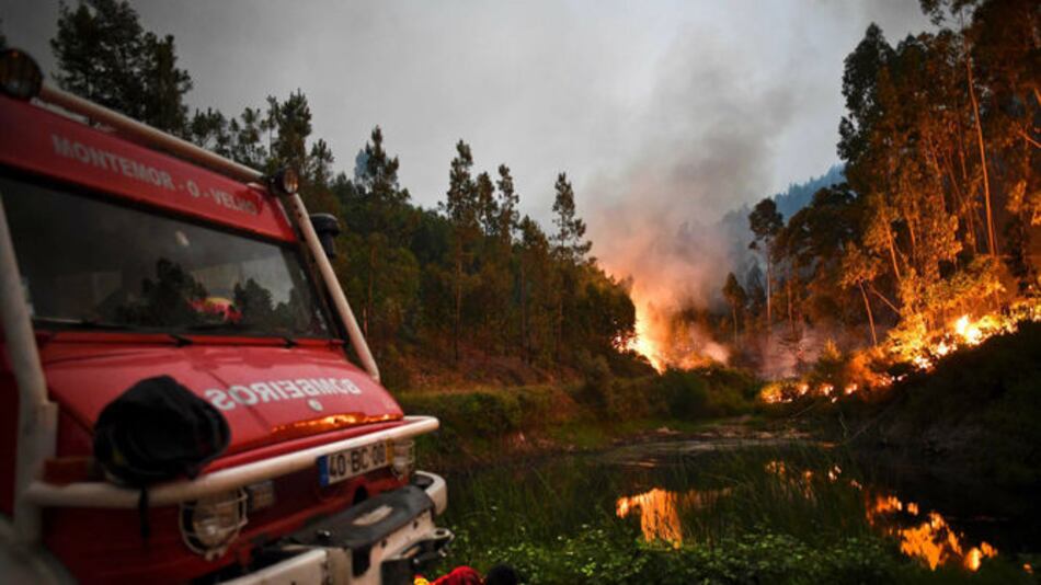 Incendio forestal en Portugal deja 62 muertos