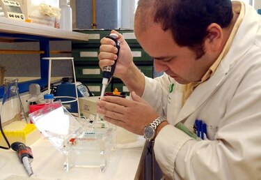 La introducción de un gen podría corregir la anomalía del síndrome de Down